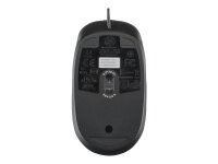 HP optische USB-Scroll-Maus - kabelgebunden - USB -