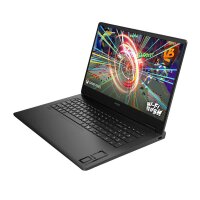 HP OMEN Gaming, Renew, AMD Ryzen 7 8845HS, 32 GB DDR5, 1TB SSD, 17.3" QHD 2560x1440 Anti-Glare 300 nits, GeForce RTX 4070, 8 GB GDDR6, Win11 Home, Schwarz, 1 Jahr Bring‑In Garantie